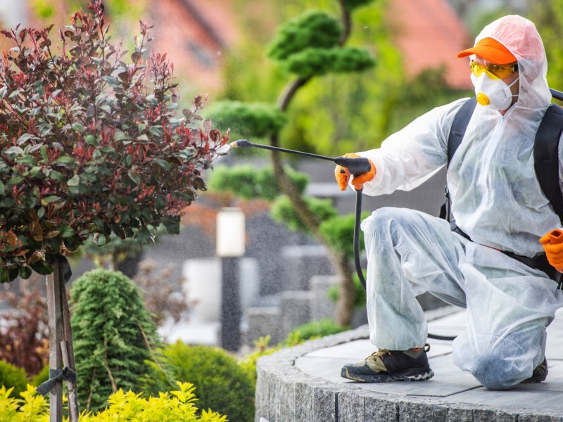 Mihalgazi Haşere İlaçlama